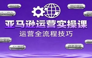 亚马逊运营实操课，选品策略，选品重点、广告最新打法、大促细节优化等（更新10月）
