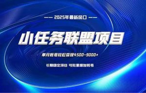 (16521期)小任务联盟项目:一台电脑每天只需10分钟,轻松简单稳定