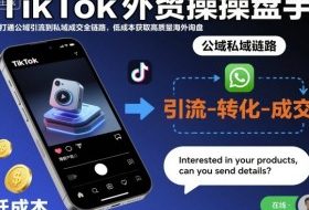 TikTok外贸操盘手,打通公域引流到私域成交全链路,低成本获取高质量海外询盘