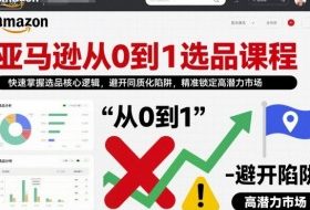 亚马逊从0到1选品课程,快速掌握选品核心逻辑,避开同质化陷阱,精准锁定高潜力市场
