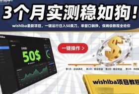 3个月实测稳如狗！wishlba最新项目，一键运行日入50美刀，单窗口躺挣，保姆级教程全给你【揭秘】