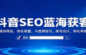 抖音SEO蓝海获客:关键词筛选,排名堆叠,卡首屏技巧,账号设计,转化率提升