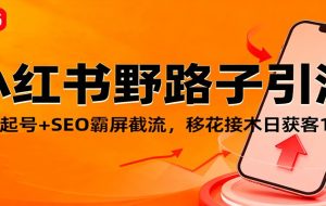 小红书野路子引流,暴力起号+SEO霸屏截流,移花接木日获客100+
