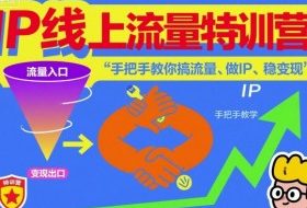 IP线上流量特训营，手把手教你搞流量、做IP、稳变现