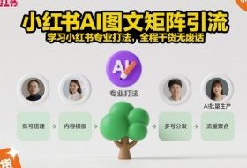 小红书AI图文矩阵引流，学习小红书专业打法，全程干货无废话