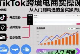 TikTok跨境电商实操课，从入门到精通的全实操流程