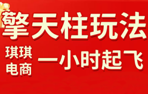琪琪电商·拼多多擎天柱玩法（1.0+1.5）