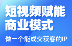 大光老师·三农短视频赋能商业模式视频课（更新）