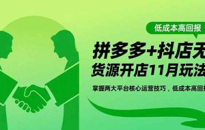 （16546期）拼多多+抖店无货源开店11月玩法：掌握两大平台核心运营技巧，低成本高回报