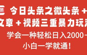 （16556期）今日头条之微头条＋文章＋视频三重暴力玩法，学会一种轻松日入2000＋，…