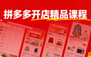 枫海老师·拼多多开店精品课程