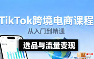 TikTok跨境电商实操课