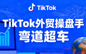 TikTok外贸操盘手（更新11月）