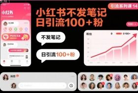 引流系列课14：小红书不发笔记日引流100+粉