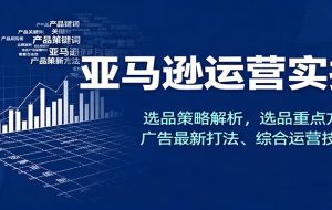 亚马逊运营实操，选品策略解析，选品重点方法、广告最新打法、综合运营技巧等