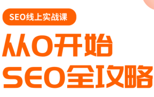 若凡老师·谷歌SEO实操课