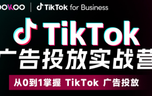 雅玲老师·2025TikTok广告投放实战营