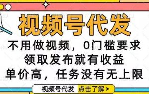 （16583期）视频号代发，不用做视频，0门槛要求，领取发布就有收益，单价高，任务…
