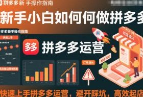 新手小白如何做拼多多，快速上手拼多多运营，避开踩坑，高效起店