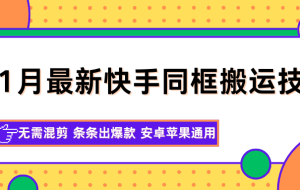 11月最新快手同框搬运技术，无需混剪 条条出爆款 安卓苹果通用