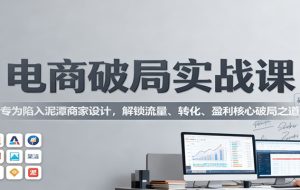 电商破局实战课：专为陷入泥潭商家设计，解锁流量、转化、盈利核心破局之道