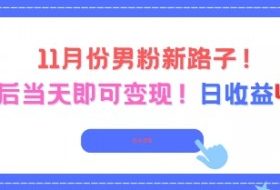 11月份男粉新路子，起号后当天即可变现，日收益4张