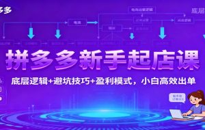 拼多多新手起店课：底层逻辑+避坑技巧+盈利模式，小白高效出单