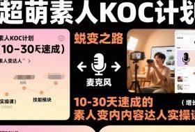 超萌素人KOC计划，10-30天速成的素人变内容达人实操课，适合想做短剧小说推文电商推广的素人入局