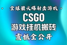 【年底大揭秘】基于全球最火爆的射击CSGO游戏挂G搬砖，日入5张+，震撼公开