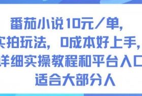 番茄小说10米每单，实拍玩法，0成本好上手，详细实操教程和平台入口适合大部分人