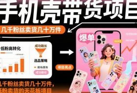 手机壳带货项目，几千粉丝卖货几十万件，短视频低粉卖货的天花板项目