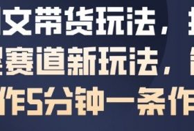 AI图文带货玩法，抖音母婴赛道新玩法，简单操作5分钟一条作品