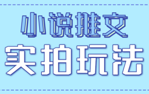 小说推文实拍玩法，零成本零门槛10元/单，轻松月收益万元
