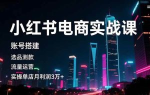 （16615期）小红书电商实战课，账号搭建，选品测款，流量运营，实操月利润3万+
