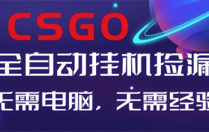 （16619期）【副业好项目】全球火爆游戏CSGO自动捡漏，新手小白日入500+