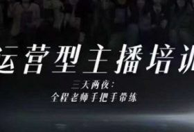 婉婉运营型主播培训线下课,主播四大能力,十小时线下录像+字幕,内容比线上课干