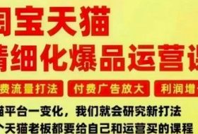 淘宝天猫精细化爆品运营课,免费流量打法-付费广告放大-利润增长-三大核心痛点,一次全部解决