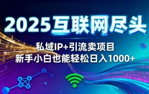 （16485期）2025网创尽头王炸项目！私域 IP + 精准引流，新手小白在家躺赚日入 1000+