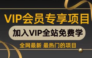 （16634期）海外美金AI掘金项目，200U可入门槛，一天一单即可，每天1000-2000很轻松！