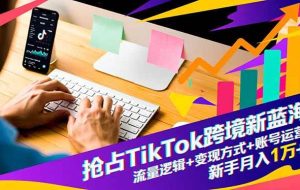 （16640期）抢占TikTok跨境新蓝海：流量逻辑+变现方式+账号运营，新手月入1万+