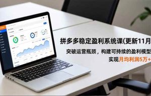 (16641期)拼多多稳定盈利系统课(更新11月),突破运营瓶颈,构建可持续的盈利模型,实现月均利润5万+
