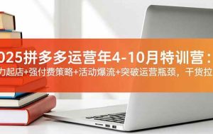 (16642期)2025拼多多运营年4-10月特训营:暴力起店+强付费策略+活动爆流+突破运营瓶颈,干货拉满