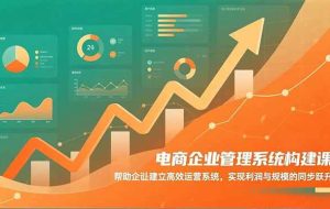 (16643期)电商企业管理系统构建课:帮助企业建立高效运营系统,实现利润与规模的同步跃升