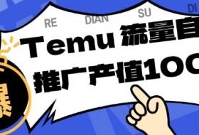 专注于Temu商家提供精准曝光浏览量，助力店铺排名提升和转化，单机日收入80-130【揭秘】