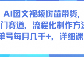 AI图文视频树苗带货，冷门赛道，流程化制作方法，单号每月几K，详细课程