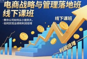 电商战略与管理落地班线下课,教你公司如何从小做到大,如何实现业绩和利润倍增【录音】