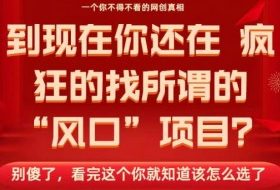 马上26年了,你还在找所谓的风口项目?别傻了,看完这个你全都懂了!【揭秘】