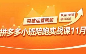 （16654期）拼多多小班陪跑实战课11月，强付费矩阵、原价活动、暗券引流，突破运营瓶颈，单店日利润破5000