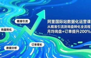 （16660期）阿里国际站数据化运营课-11月，从精准引流到询盘转化全流程，月均询盘+订单提升200%