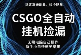 【稳定副业】全球最热门游戏CSGO全自动捡漏，最新玩法，新手小白日入5张+【揭秘】